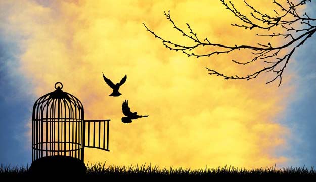 freedom-is-my-life